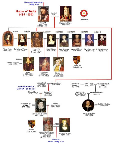 dinastia inglese tudor albero genealogico|house of tudor family tree.